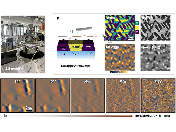 科学岛联合国际团队依托水冷磁体扫描力显微技术 实现薄膜晶向高密读写新方法